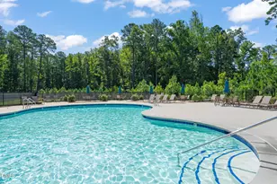 163 Annabelle Branch Ln, Apex, NC 27523 - Photo 59