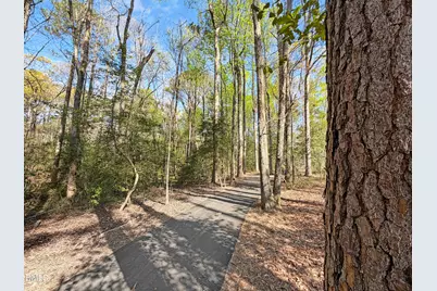 198 Eagle Rock Drive, Lillington, NC 27546 - Photo 47