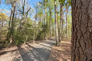 198 Eagle Rock Dr, Lillington, NC 27546 - Photo 47