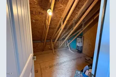 1009 Magnolia Blossom Lane, Apex, NC 27502 - Photo 33