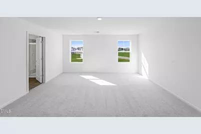 768 Roy Adams Road, Angier, NC 27501 - Photo 11
