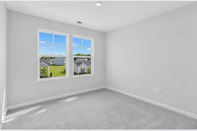 224 Blossom Field Way, Angier, NC 27501 - Photo 17