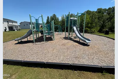 224 Blossom Field Way, Angier, NC 27501 - Photo 21