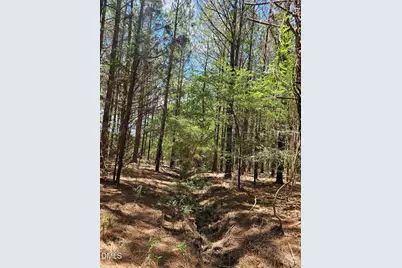 850 Clarence Phillips Road, Bennett, NC 27208 - Photo 3