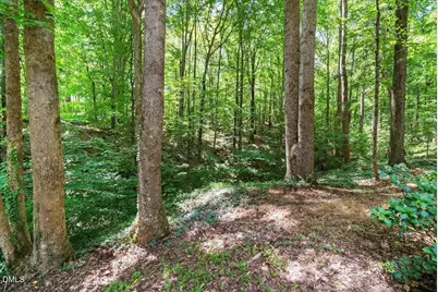14033 Bold Run Hill Road, Wake Forest, NC 27587 - Photo 55