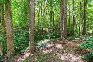 14033 Bold Run Hill Rd, Wake Forest, NC 27587 - Photo 55