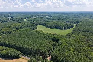 14033 Bold Run Hill Rd, Wake Forest, NC 27587 - Photo 49