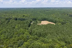 14033 Bold Run Hill Rd, Wake Forest, NC 27587 - Photo 53