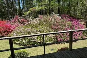 14033 Bold Run Hill Rd, Wake Forest, NC 27587 - Photo 59