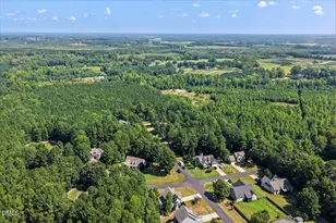 165 Willow Ridge Dr, Louisburg, NC 27549 - Photo 41