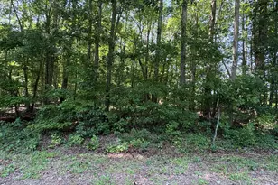 Lot 1 Sams Rd, Mebane, NC 27302 - Photo 1