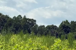 Lot 2 Sams Rd, Mebane, NC 27302 - Photo 1