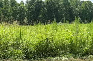 Lot 5 Oak Grove Church Rd, Mebane, NC 27302 - Photo 1