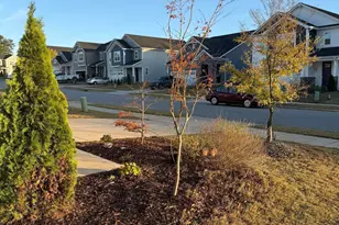 128 Umbrella Wy, Garner, NC 27529 - Photo 49