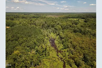(Tract C) Brassfield Road, Creedmoor, NC 27522 - Photo 5