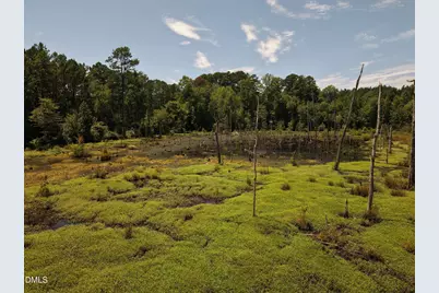 (Tract C) Brassfield Road, Creedmoor, NC 27522 - Photo 9
