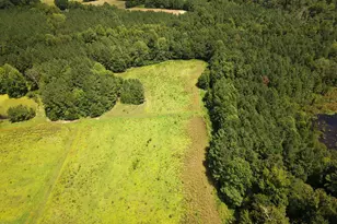(Tract C) Brassfield Rd, Creedmoor, NC 27522 - Photo 1