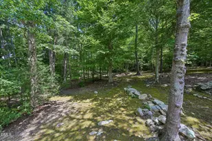 2375 Lamont Norwood Rd, Pittsboro, NC 27312 - Photo 37
