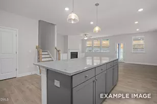 904 Diana Victoria Ct, Wendell, NC 27591 - Photo 3