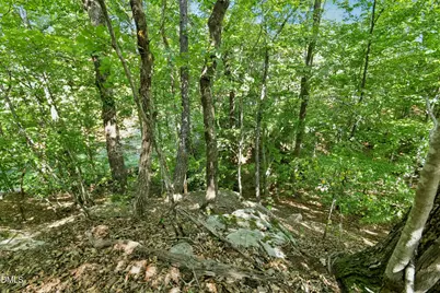 7401 Rocky Ridge Road, Wake Forest, NC 27587 - Photo 41