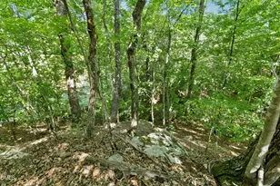 7401 Rocky Ridge Rd, Wake Forest, NC 27587 - Photo 41