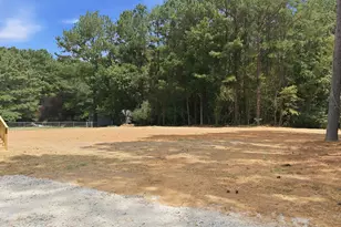 9757 Fire Tower Farm Rd, Whitakers, NC 27891 - Photo 5