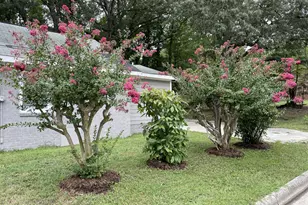 417 Green Street St, Roxboro, NC 27573 - Photo 5