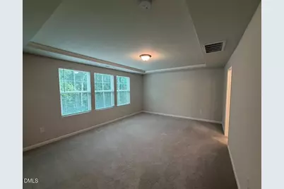 319 Aster Bloom Lane, Raleigh, NC 27610 - Photo 19
