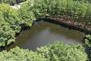 541 Pemberwich Pl, Cary, NC 27519 - Photo 21