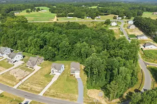 236 White Azalea Wy, Benson, NC 27504 - Photo 45