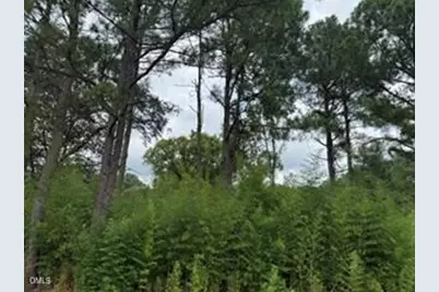 1298 Moores Chapel Road, Lillington, NC 27546 - Photo 3