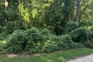 2413 National Ave, Raleigh, NC 27610 - Photo 1