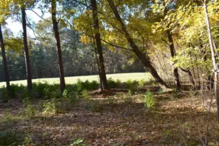 19121 US-64, Siler City, NC 27344 - Photo 43