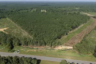 1941 Walter Bright Road Rd, Sanford, NC 27330 - Photo 1
