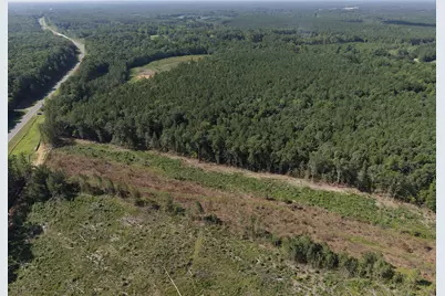 1941 Walter Bright Road Road, Sanford, NC 27330 - Photo 3