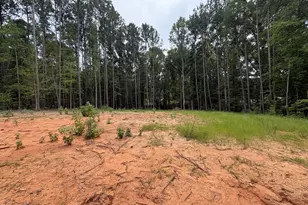 206 Rev Lewis Way, Henderson, NC 27537 - Photo 1