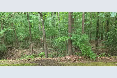 220 Elizabeth Street #Apt A18, Chapel Hill, NC 27514 - Photo 33
