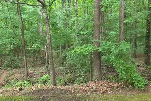 220 Elizabeth St, Chapel Hill, NC 27514 - Photo 33