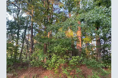 2413 Holiday Drive, Raleigh, NC 27610 - Photo 1