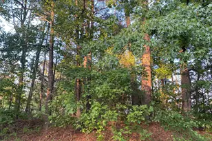 2413 Holiday Dr, Raleigh, NC 27610 - Photo 1