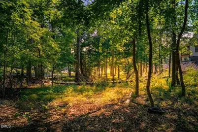 Lot 4 Wild Turkey Drive, Semora, NC 27343 - Photo 3