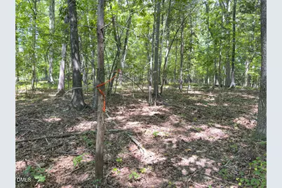 00 Oxford Road, Rougemont, NC 27572 - Photo 9