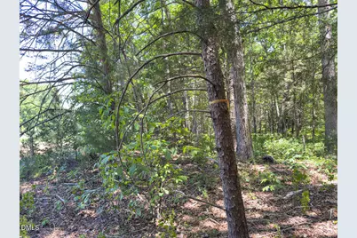 00 Oxford Road, Rougemont, NC 27572 - Photo 25
