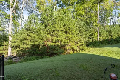 728 Great Eno Path, Hillsborough, NC 27278 - Photo 49
