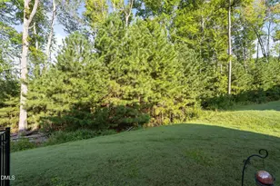 728 Great Eno Path, Hillsborough, NC 27278 - Photo 49