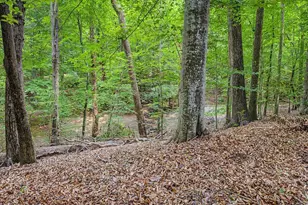 303 Deepwood Rd, Chapel Hill, NC 27514 - Photo 21