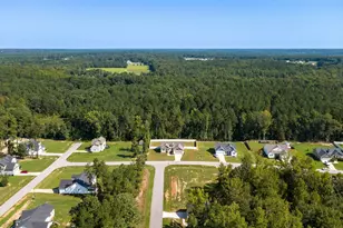 51 Split Rock Wy, Zebulon, NC 27597 - Photo 41