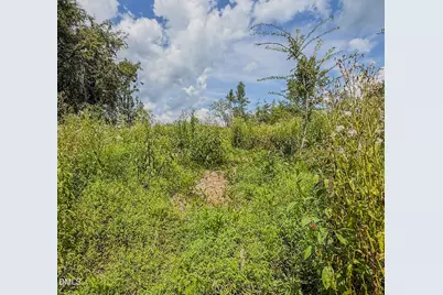 201 Briggs Road, Hurdle Mills, NC 27541 - Photo 43