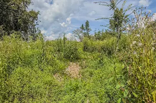 201 Briggs Rd, Hurdle Mills, NC 27541 - Photo 43