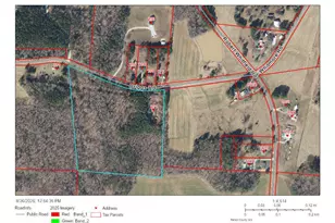 201 Briggs Rd, Hurdle Mills, NC 27541 - Photo 11